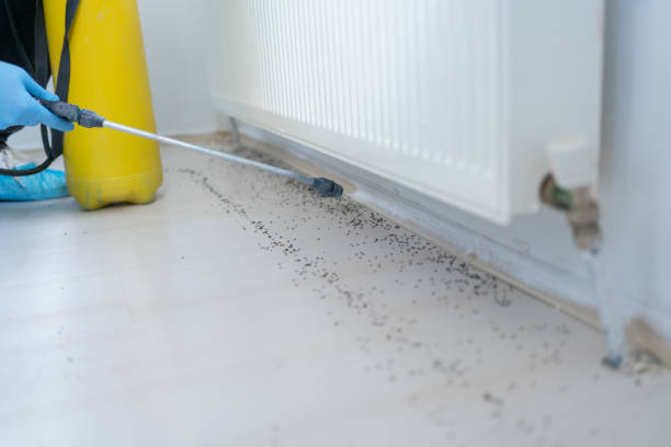 Best Affordable Pest Control Services  in Acushnet Center, MA